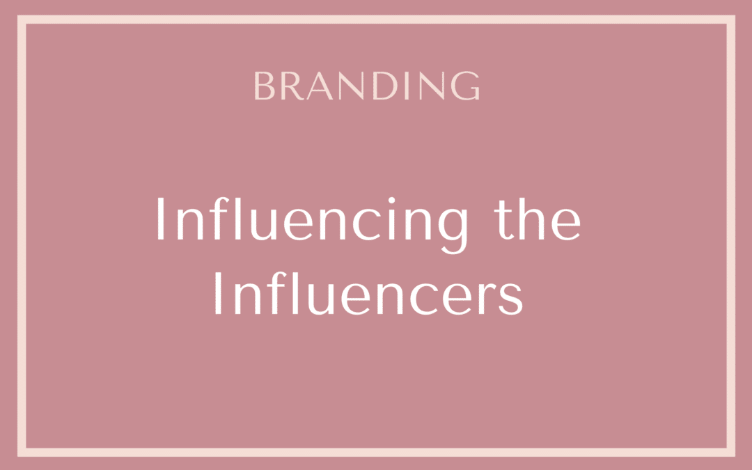 Influencing the Influencers
